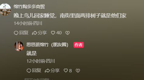 四川綿竹又現(xiàn)“萬鳥歸巢”奇觀，市民：鳥群年年赴約，官方曾回應(yīng)是自然現(xiàn)象